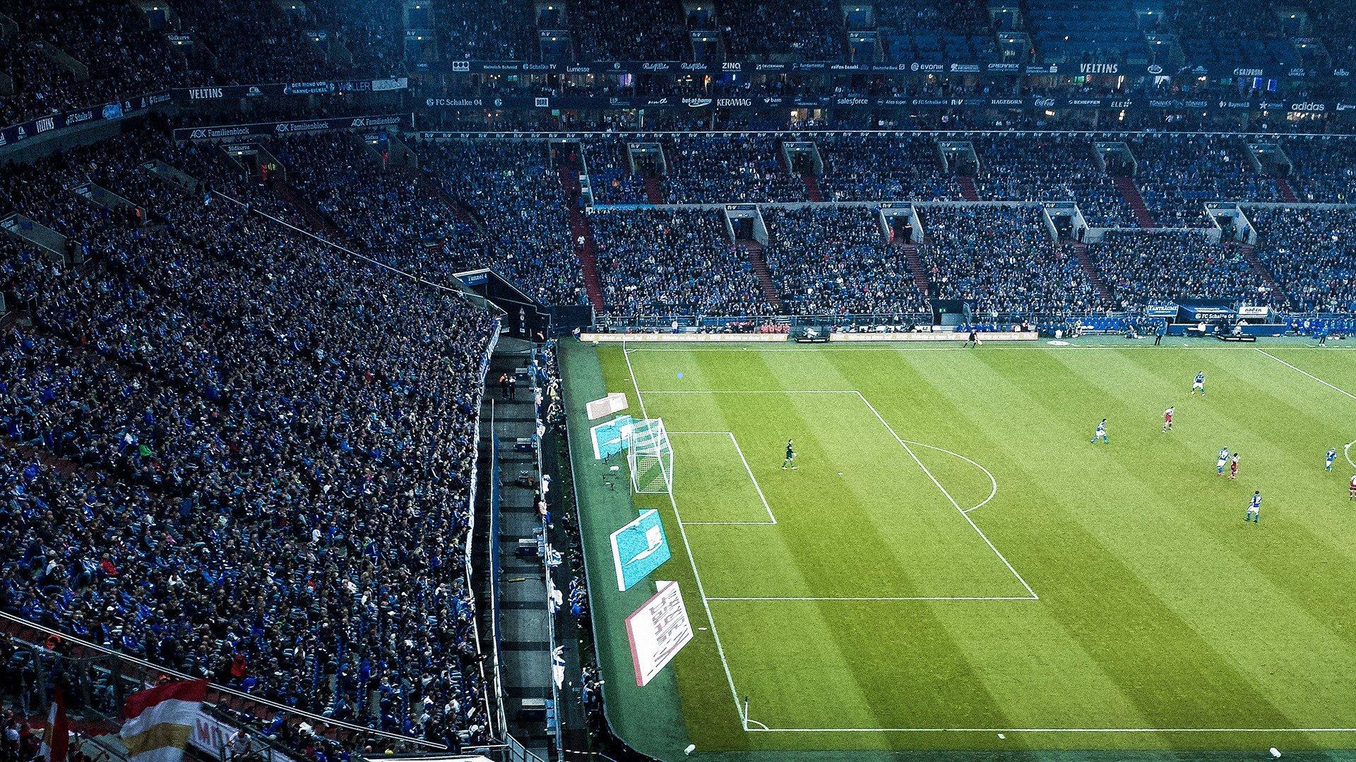 非洲荒野格斗盛宴，体验超越WWE的原始狂潮